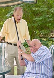 The Wild Goose - Babe Sargent