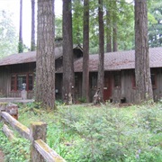 Mendocino Woodlands State Park, California