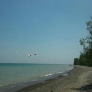 Lake Michigan (Brown Deer, WI)