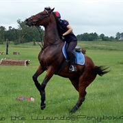 Dismount From a Rearing & Bucking Horse