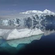 Fish Island Antartica