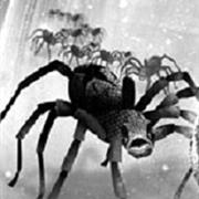 Spiders From Darkstar Academy