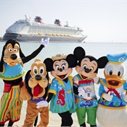 Go on a Disney Cruise