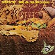 Roy Harper Flat Baroque and Beserk