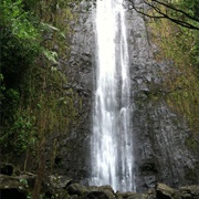 Manoa Falls