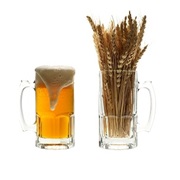 Wheat Beer