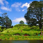 Matamata: The Shire