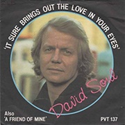 It Sure Brings Out the Love in Your Eyes .. David Soul