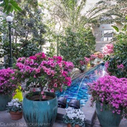 U.S. Botanical Gardens