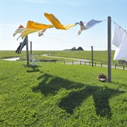 Line Dry Your Clothes