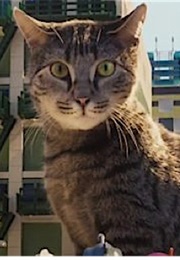 Meowthra, the Lego NINJAGO Movie (2017)