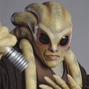 Kit Fisto