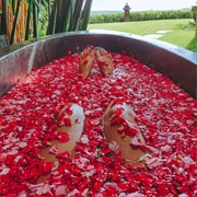Flower Bath
