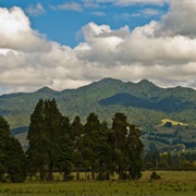 Mt Pirongia