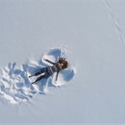 Making Snow Angels