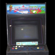 Wonder Boy in Monster Land