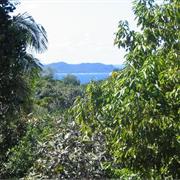 Vallée De Mai Nature Reserve