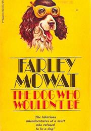 The Dog Who Wouldn't Be