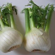 Florence Fennel