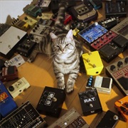 東京酒吐座 - Crystallize