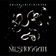 Mind&#39;s Mirrors - Meshuggah