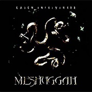 Mind's Mirrors - Meshuggah