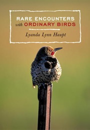 Rare Encounters With Ordinary Birds: Notes From a Northwest Year (Lyanda Lynn Haupt)
