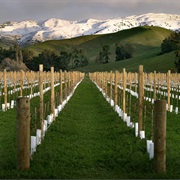 Marlborough Region, New Zealand