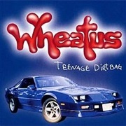 Teenage Dirtbag - Wheatus