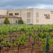 Bodegas Macià Batle, Mallorca