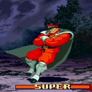 M. Bison