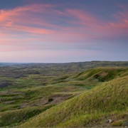 Bureau of Land Management 40 Complex, Montana