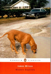 Modern Baptists (James Wilcox)