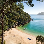 Ku Ring Gai Chase National Park
