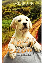 Daisy, Yellow (Angelique Jurd)