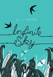 Infinite Sky (C.J Flood)