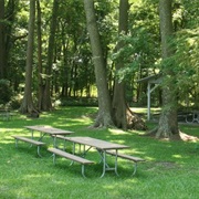 Pettigrew State Park, North Carolina