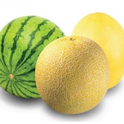 Melon