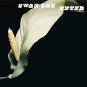 Swan Lee - Enter (2001)