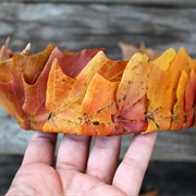 Make a Leaf Crown