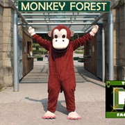 Trentham Monkey Forest