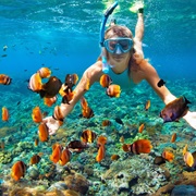 Diving and Snorkeling in Aruba