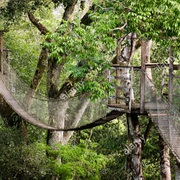 Tambopata National Reserve, Peru