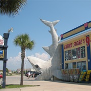 Jaws Gift Shop