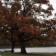 Brushy Lake State Park, Oklahoma