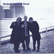 Medeski, Martin &amp; Wood - It&#39;s a Jungle in Here