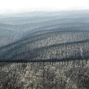 Brisbane Ranges National Park (VIC)