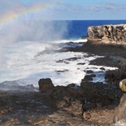 Punta Suárez, Galápagos Islands