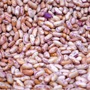 #25:  Appetizers and Snacks:  Layered Bean Dip