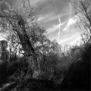 Harvey Milk - A Small Turn of Human Kindness